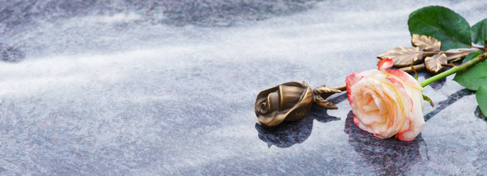 Rose posée sur pierre tombale